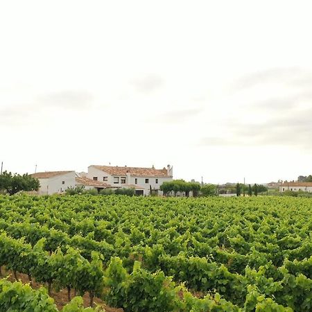 Villa Soul Farm Mas Els Igols Torrellas de Foix Exterior foto