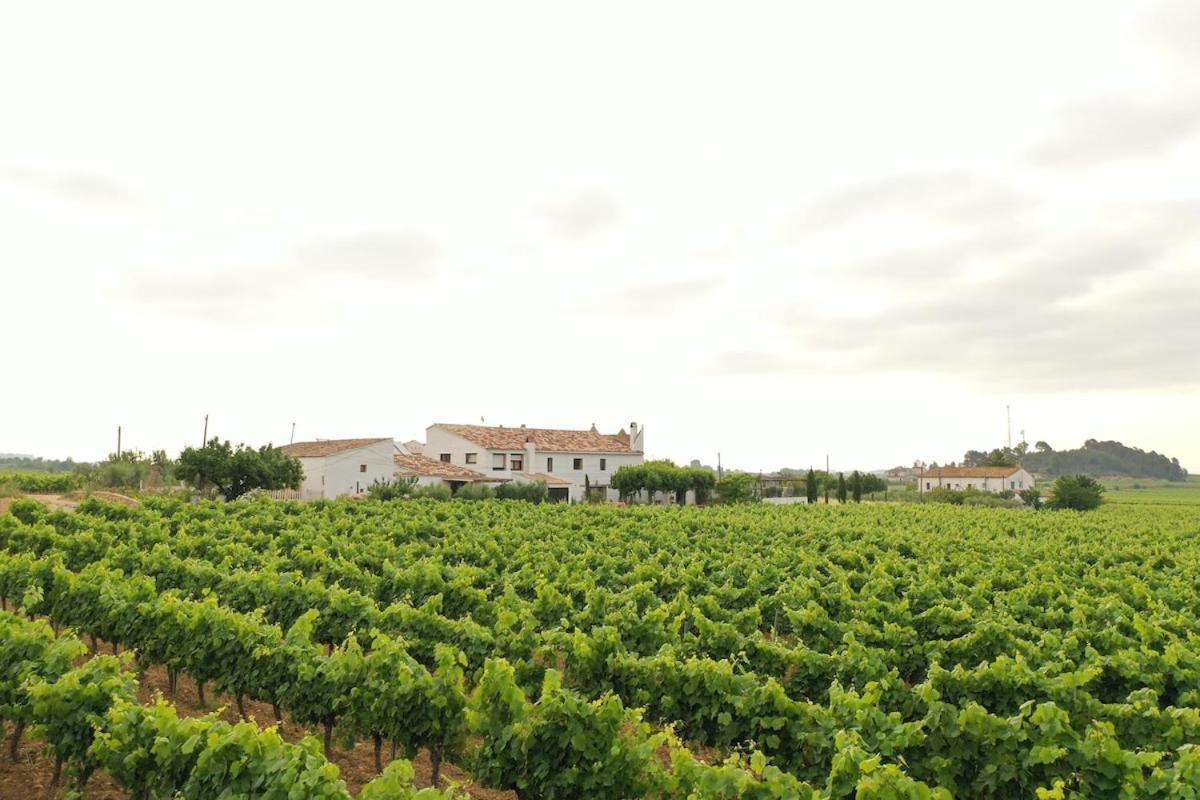 Villa Soul Farm Mas Els Igols Torrellas de Foix Exterior foto